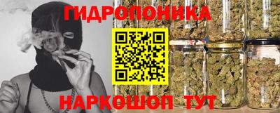 PSILOCYBIN Будённовск