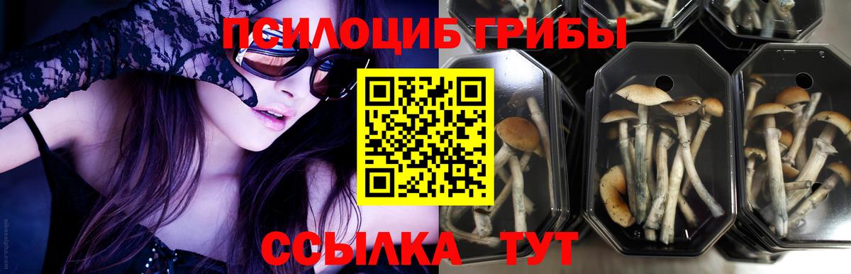 Псилоцибиновые грибы ЛСД Рязань